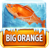 Big Oranges