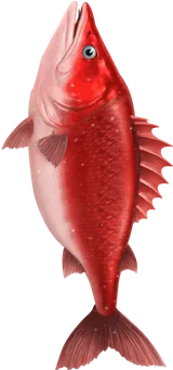 Huge Reds fish artwork